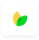 private-investor